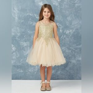 NWT Tip Top Kids Champagne Embellished Dress, Size 12